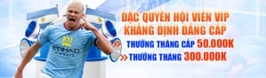 Hỗ trợ kỹ thuật chuyên nghiệp